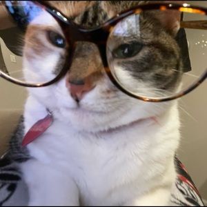 Meet your Posher, Kyla